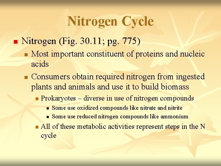 Nitrogen Cycle n Nitrogen (Fig. 30. 11; pg. 775) n n Most important constituent