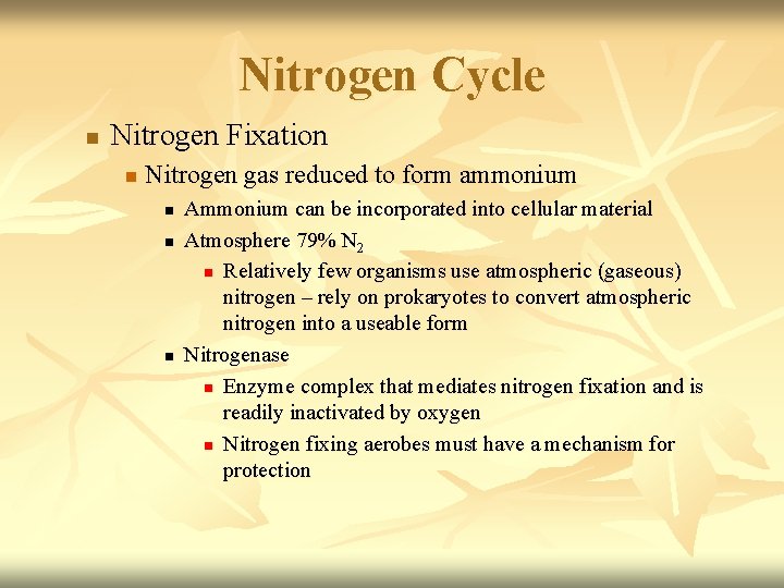 Nitrogen Cycle n Nitrogen Fixation n Nitrogen gas reduced to form ammonium n n