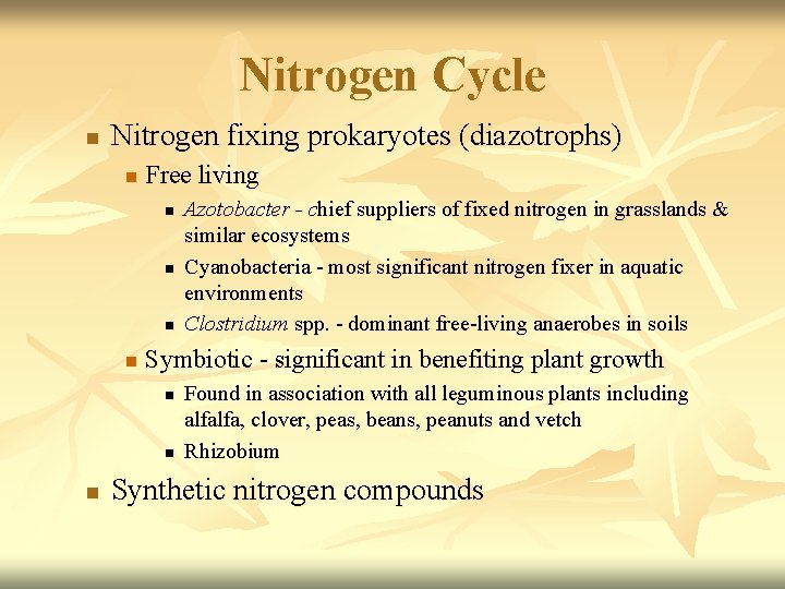 Nitrogen Cycle n Nitrogen fixing prokaryotes (diazotrophs) n Free living n n Symbiotic -