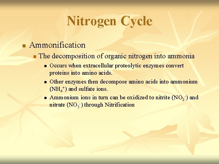 Nitrogen Cycle n Ammonification n The decomposition of organic nitrogen into ammonia n n