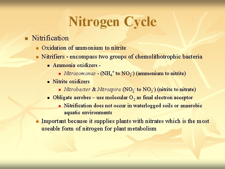 Nitrogen Cycle n Nitrification n n Oxidation of ammonium to nitrite Nitrifiers - encompass