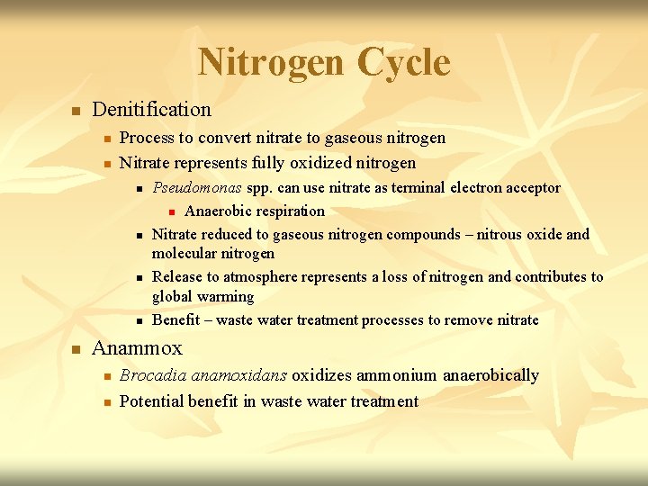 Nitrogen Cycle n Denitification n n Process to convert nitrate to gaseous nitrogen Nitrate