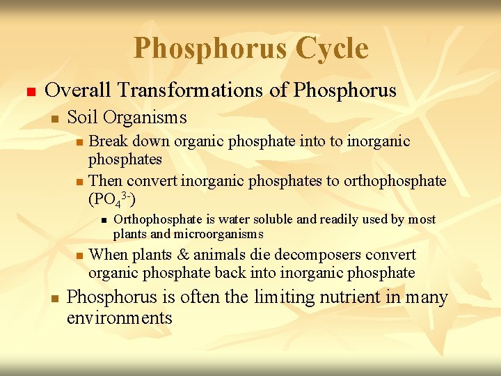 Phosphorus Cycle n Overall Transformations of Phosphorus n Soil Organisms Break down organic phosphate