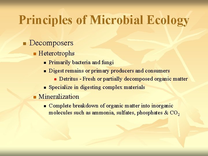 Principles of Microbial Ecology n Decomposers n Heterotrophs n n Primarily bacteria and fungi