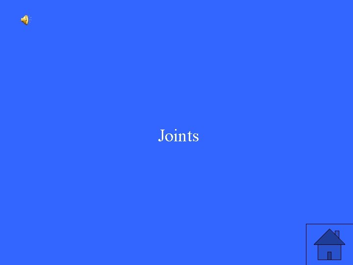 Joints 