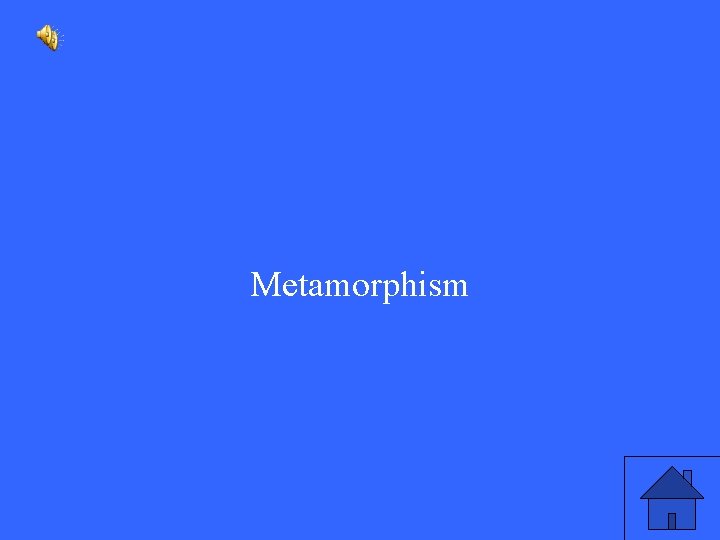 Metamorphism 