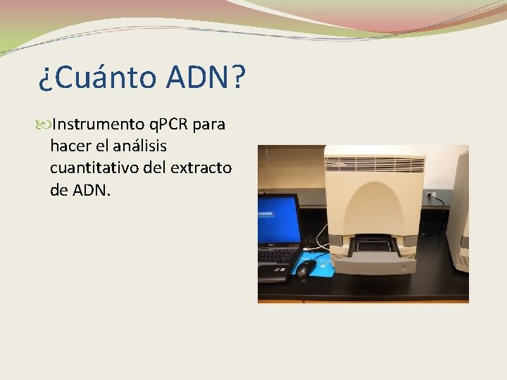 ¿Cuánto ADN? Instrumento q. PCR para hacer el análisis cuantitativo del extracto de ADN.