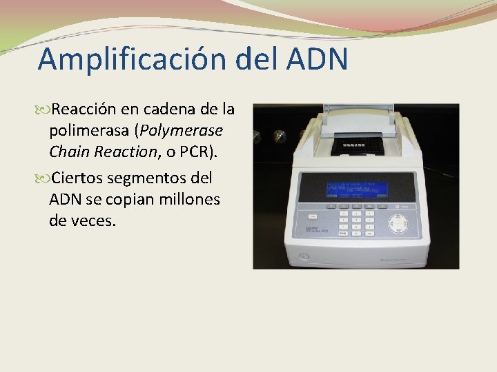 Amplificación del ADN Reacción en cadena de la polimerasa (Polymerase Chain Reaction, o PCR).