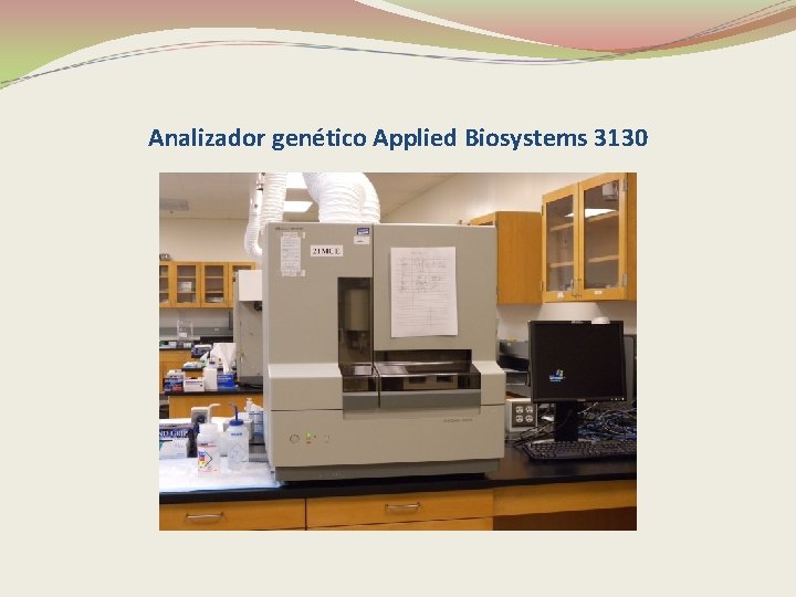 Analizador genético Applied Biosystems 3130 