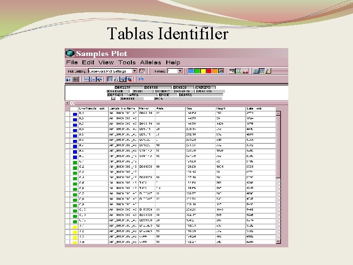 Tablas Identifiler 