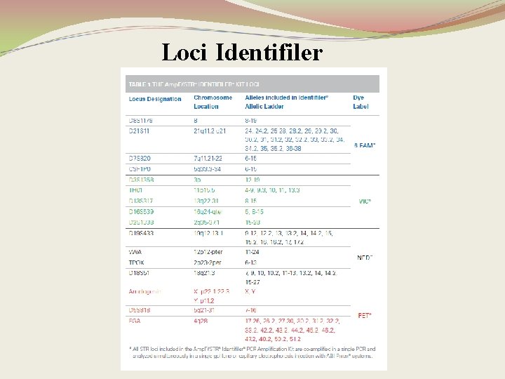 Loci Identifiler 