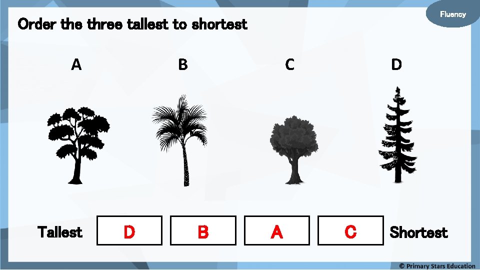 Fluency Order the three tallest to shortest A Tallest B D C B A