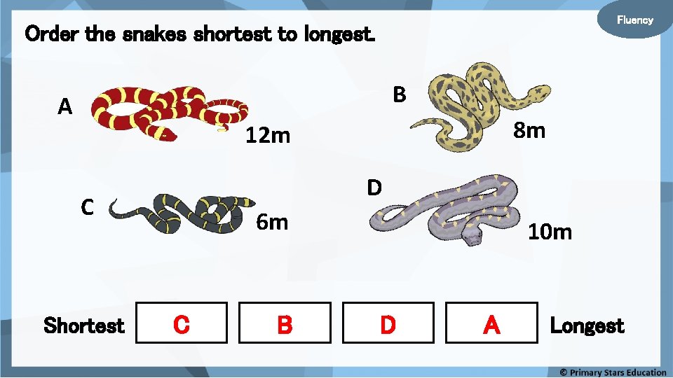 Fluency Order the snakes shortest to longest. B A 8 m 12 m D