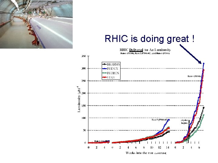RHIC is doing great ! 