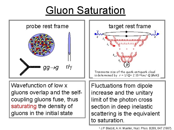 Gluon Saturation probe rest frame gg g r/ Wavefunction of low x gluons overlap