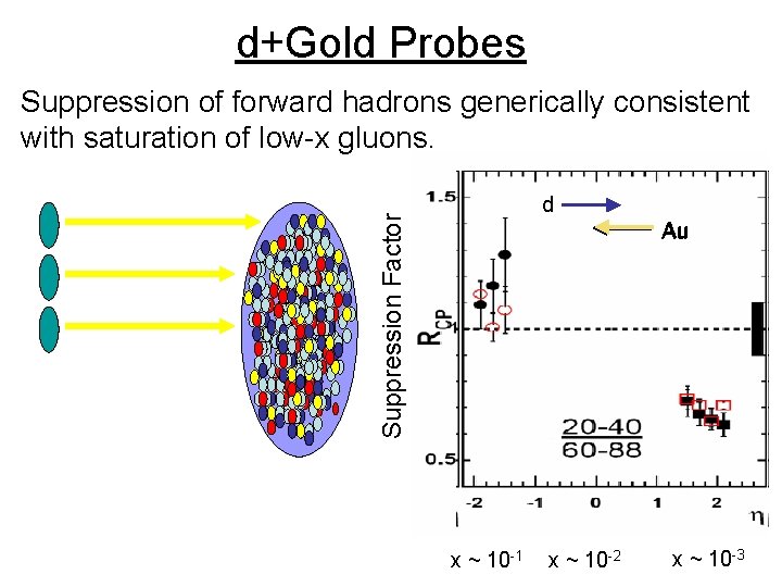 d+Gold Probes Suppression of forward hadrons generically consistent with saturation of low-x gluons. Suppression