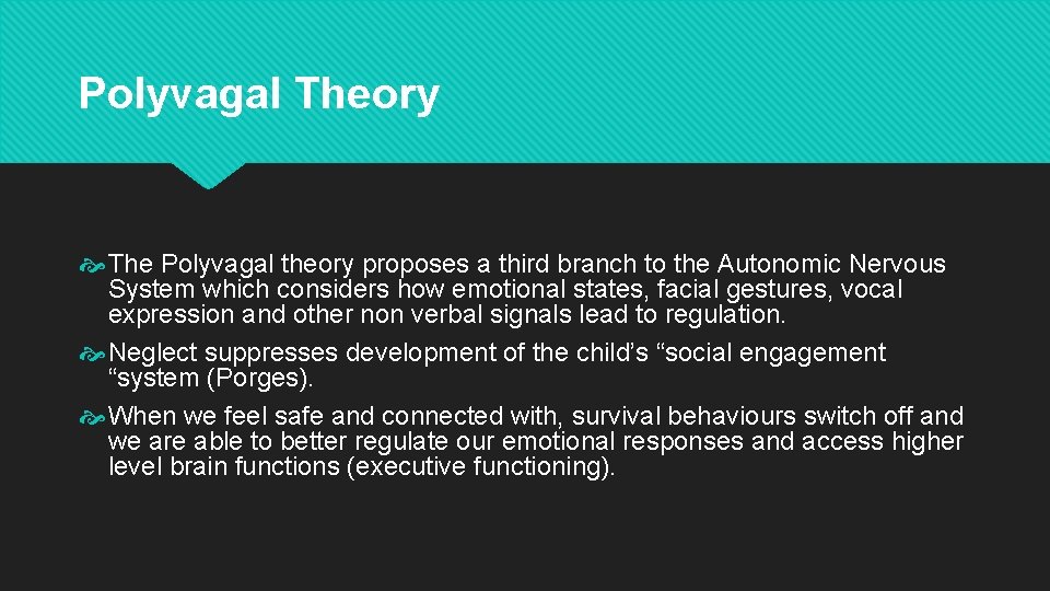 Polyvagal Theory The Polyvagal theory proposes a third branch to the Autonomic Nervous System