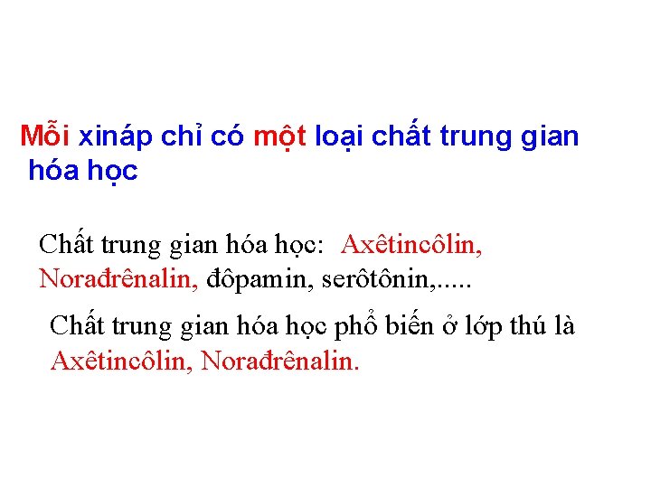 Mỗi xináp chỉ có một loại chất trung gian hóa học Chất trung gian