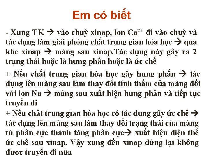 Em có biết - Xung TK vào chuỳ xinap, ion Ca 2+ đi vào