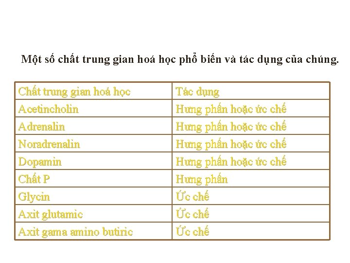 Một số chất trung gian hoá học phổ biến và tác dụng của chúng.