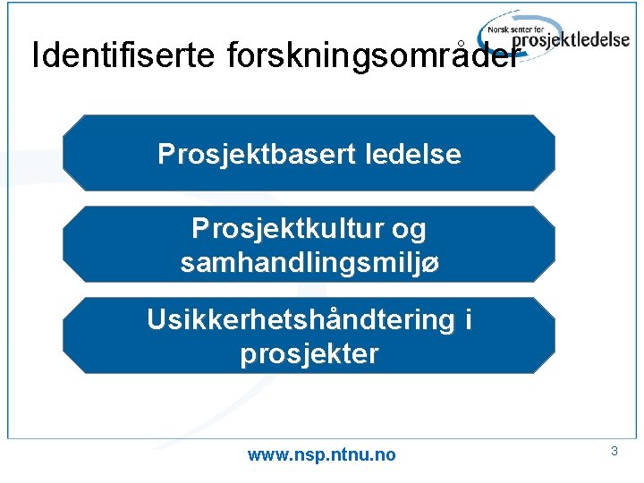 Identifiserte forskningsområder Prosjektbasert ledelse Prosjektkultur og samhandlingsmiljø Usikkerhetshåndtering i prosjekter www. nsp. ntnu. no