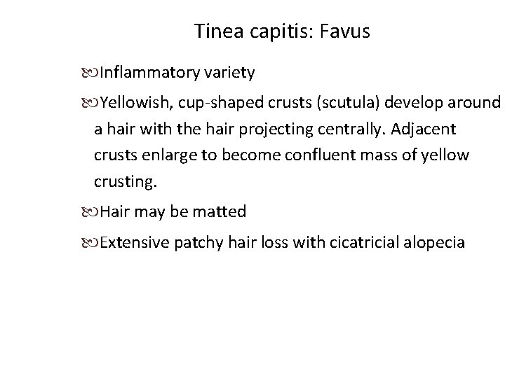 Tinea capitis: Favus Inflammatory variety Yellowish, cup-shaped crusts (scutula) develop around a hair with