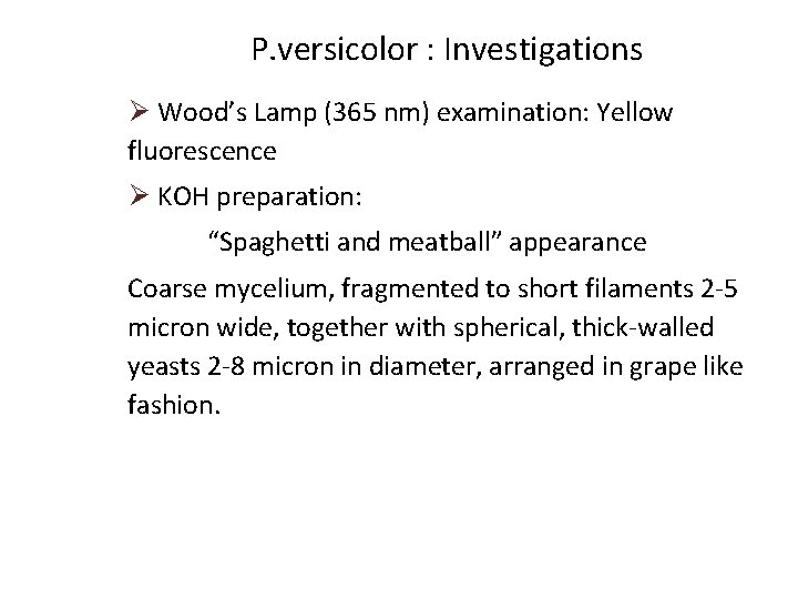 P. versicolor : Investigations Ø Wood’s Lamp (365 nm) examination: Yellow fluorescence Ø KOH