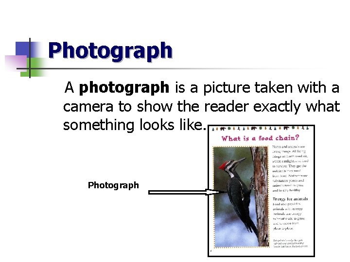 Photograph A photograph is a picture taken with a camera to show the reader
