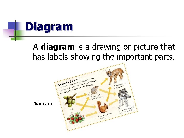 Diagram A diagram is a drawing or picture that has labels showing the important