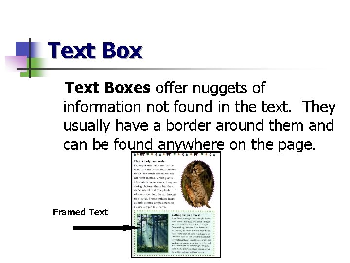 Text Boxes offer nuggets of information not found in the text. They usually have