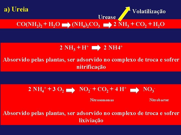 a) Ureia Volatilização CO(NH 2)2 + H 2 O Urease (NH 4)2 CO 3