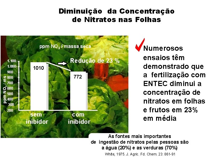 Diminuição da Concentração de Nitratos nas Folhas ppm NO 3 / massa seca Redução