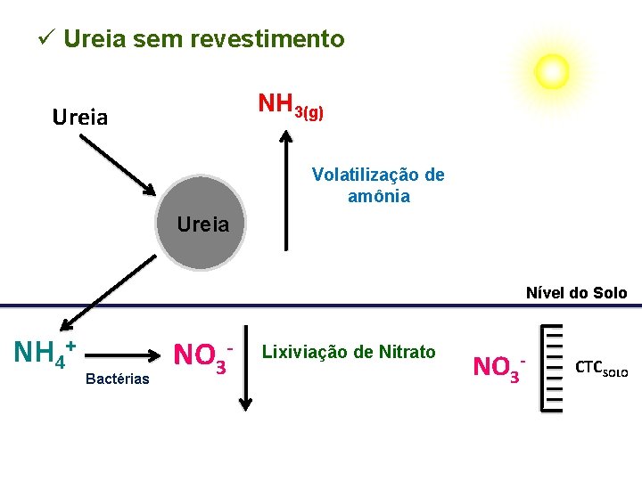 ü Ureia sem revestimento NH 3(g) Ureia Volatilização de amônia Ureia Nível do Solo