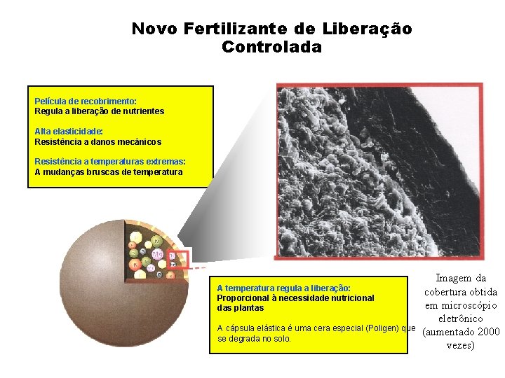 Novo Fertilizante de Liberação Controlada Película de recobrimento: Regula a liberação de nutrientes Alta