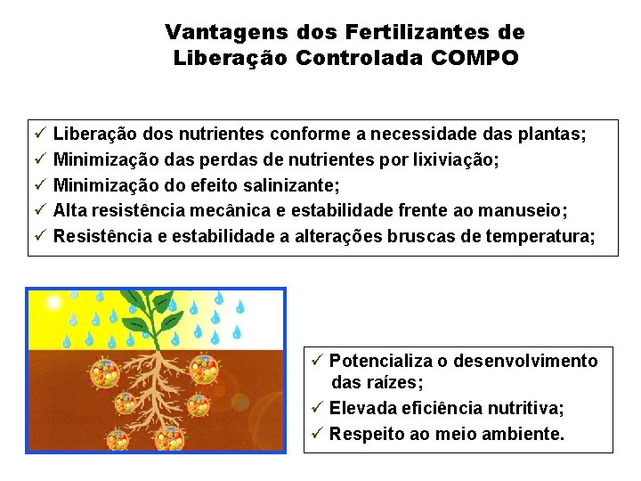 Vantagens dos Fertilizantes de Liberação Controlada COMPO ü Liberação dos nutrientes conforme a necessidade