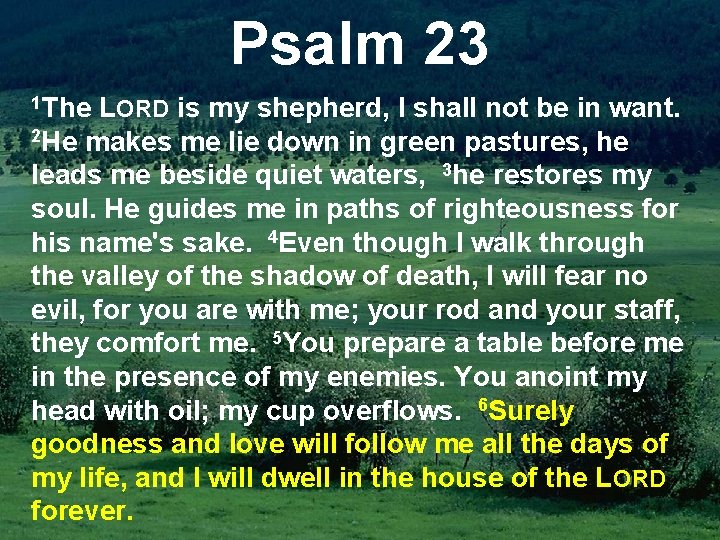 Psalm 23 1 The LORD is my shepherd, I shall not be in want.