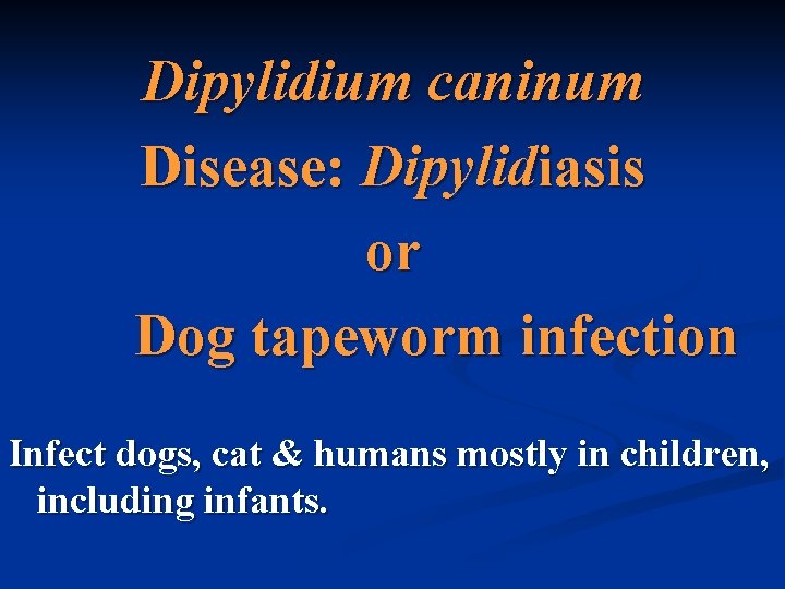 Dipylidium caninum Disease: Dipylidiasis or Dog tapeworm infection Infect dogs, cat & humans mostly