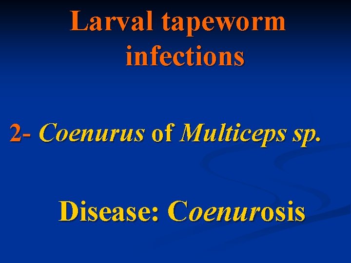 Larval tapeworm infections 2 - Coenurus of Multiceps sp. Disease: Coenurosis 