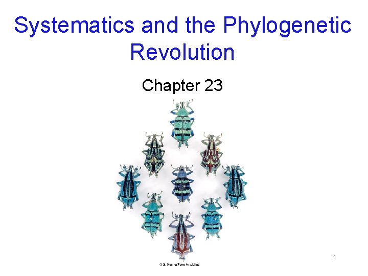 Systematics and the Phylogenetic Revolution Chapter 23 1 