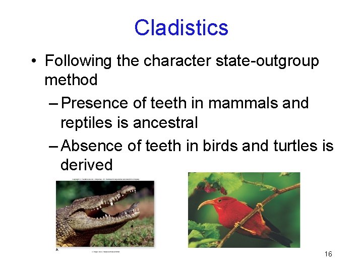 Cladistics • Following the character state-outgroup method – Presence of teeth in mammals and