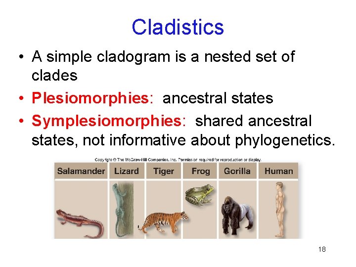 Cladistics • A simple cladogram is a nested set of clades • Plesiomorphies: ancestral