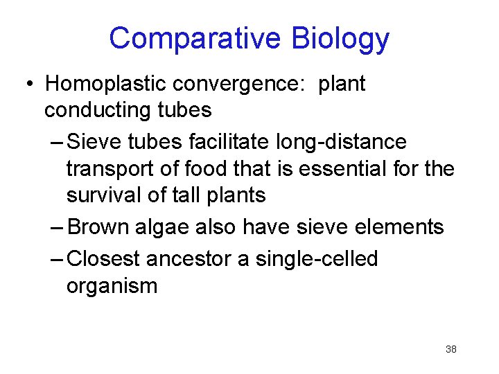 Comparative Biology • Homoplastic convergence: plant conducting tubes – Sieve tubes facilitate long-distance transport