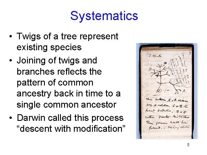 Systematics • Twigs of a tree represent existing species • Joining of twigs and