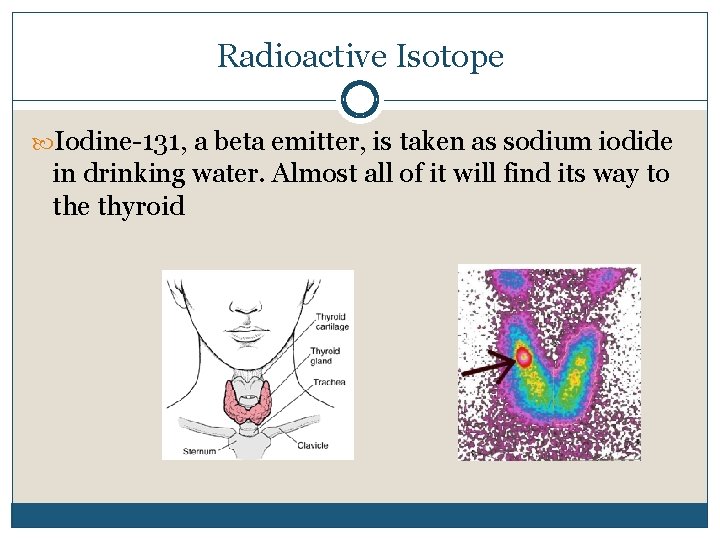 Radioactive Isotope Iodine-131, a beta emitter, is taken as sodium iodide in drinking water.