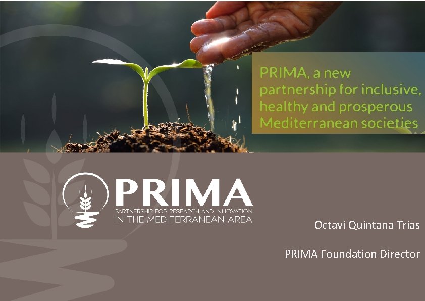 Octavi Quintana Trias PRIMA Foundation Director 