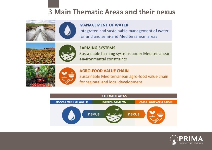 3 Main Thematic Areas and their nexus 