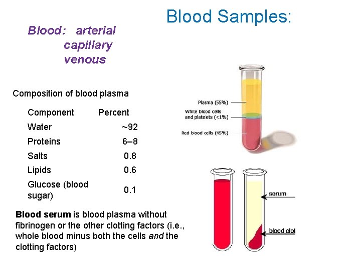 Blood Samples: Blood: arterial capillary venous Composition of blood plasma Component Percent Water ~92