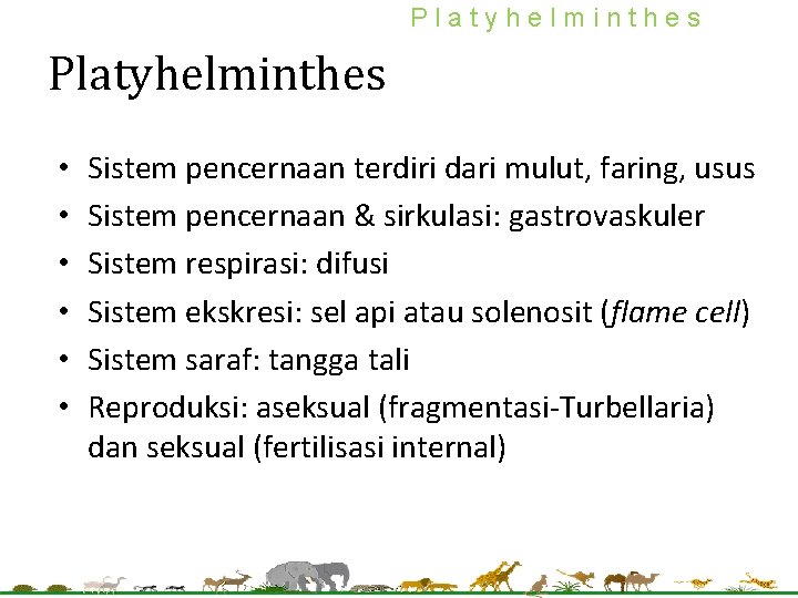 contoh platyhelminthes nemathelminthes dan annelida