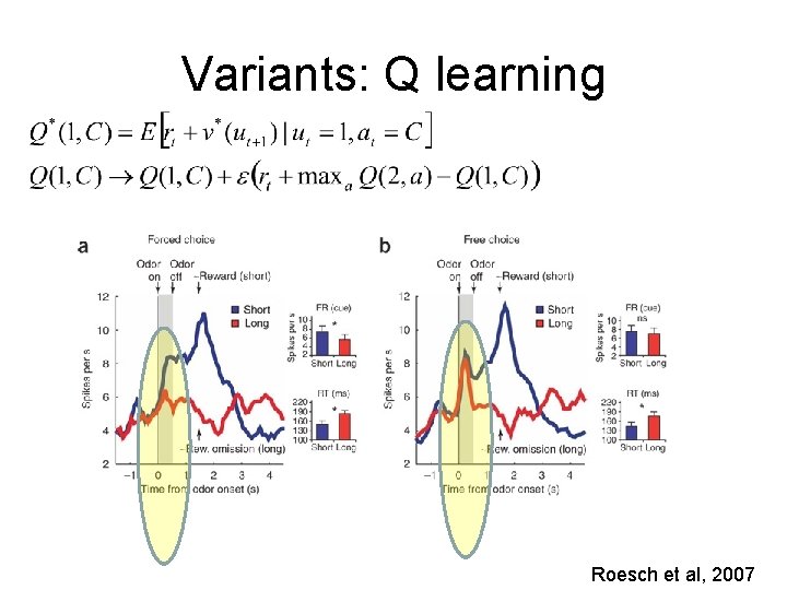 Variants: Q learning Roesch et al, 2007 