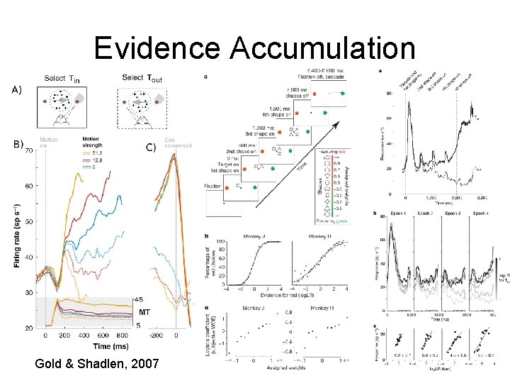 Evidence Accumulation Gold & Shadlen, 2007 